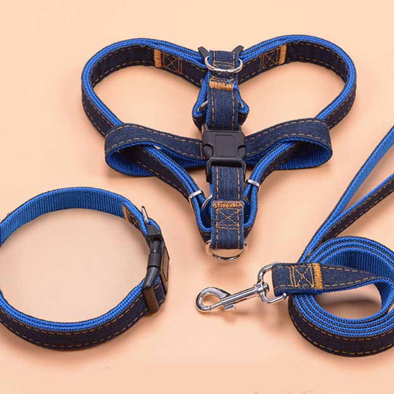 Sponge Handle Long Dog Leash